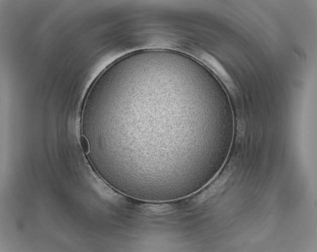 X0000112771340200909031603