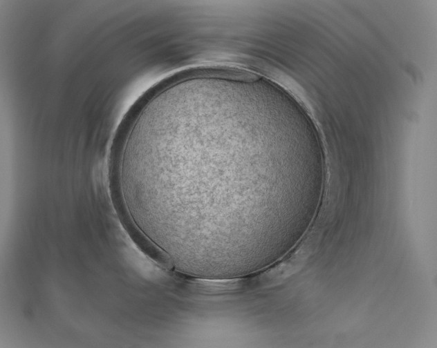 X0000112771344200909031603