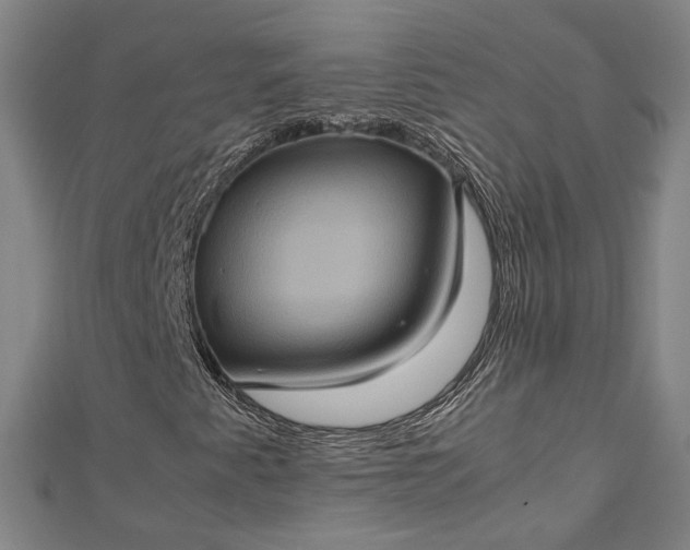 X0000112771345200909031603