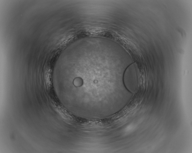 X0000112771346200909031603