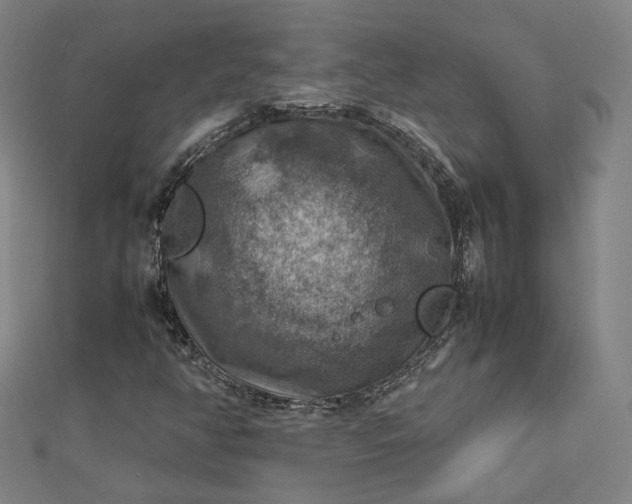 X0000112771350200909031602