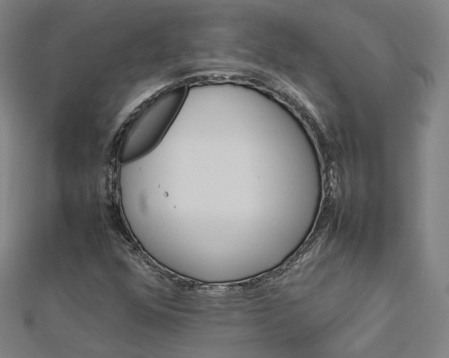 X0000112771352200909031602