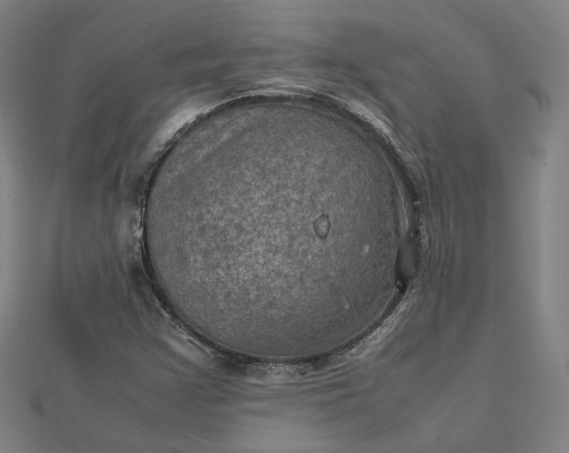 X0000112771355200909031602