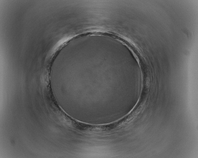 X0000112771359200909031602