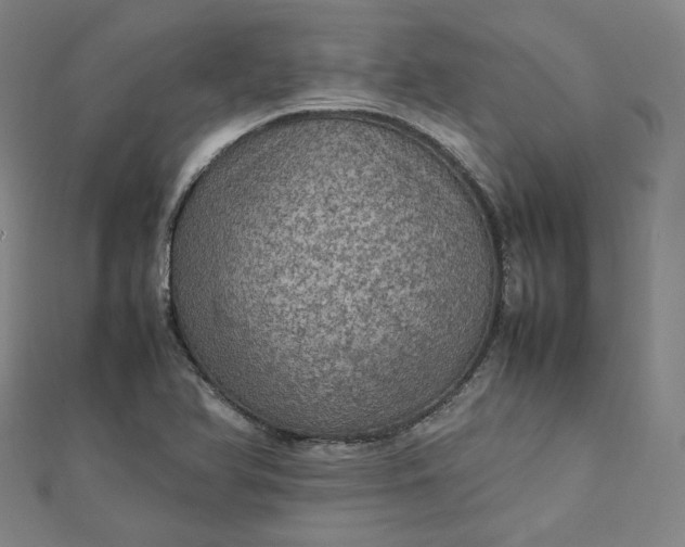 X0000112771366200909031602