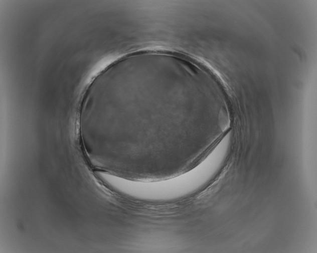 X0000112771367200909031602