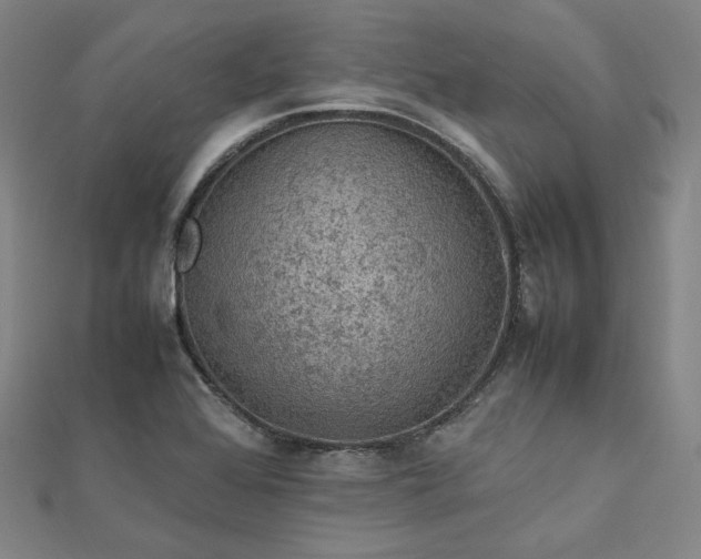 X0000112771368200909031602