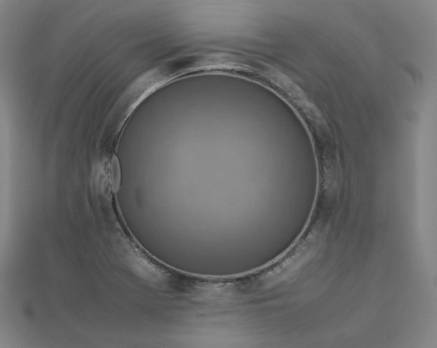 X0000112771369200909031602