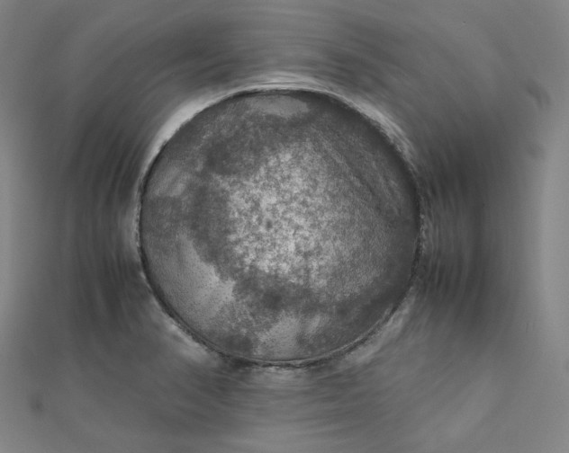 X0000112771374200909031602