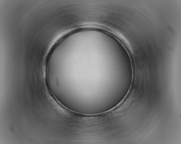 X0000112771376200909031602