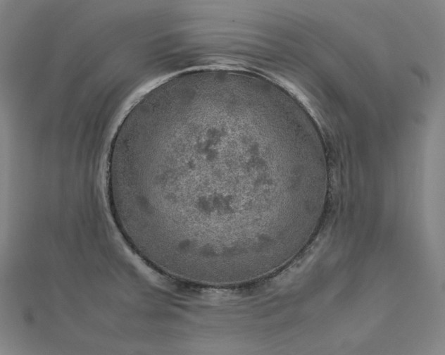 X0000112771379200909031602