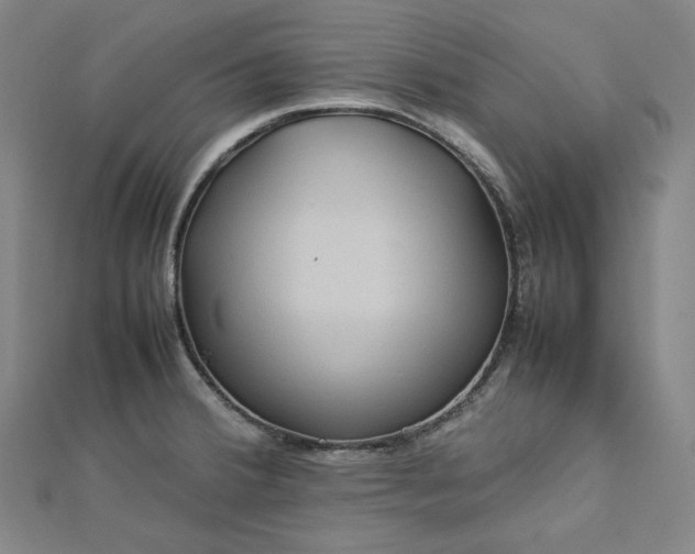 X0000112771380200909031602