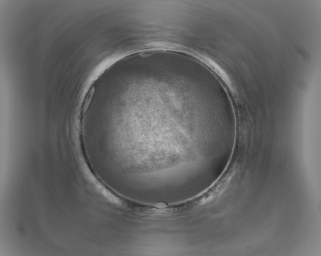 X0000112771381200909031602