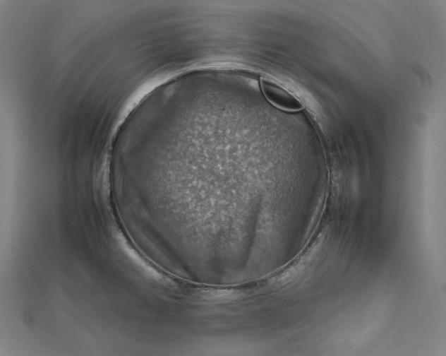 X0000112771382200909031602