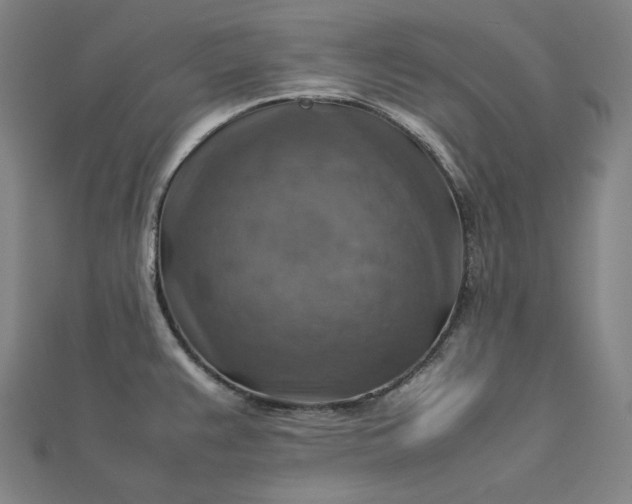 X0000112771383200909031602