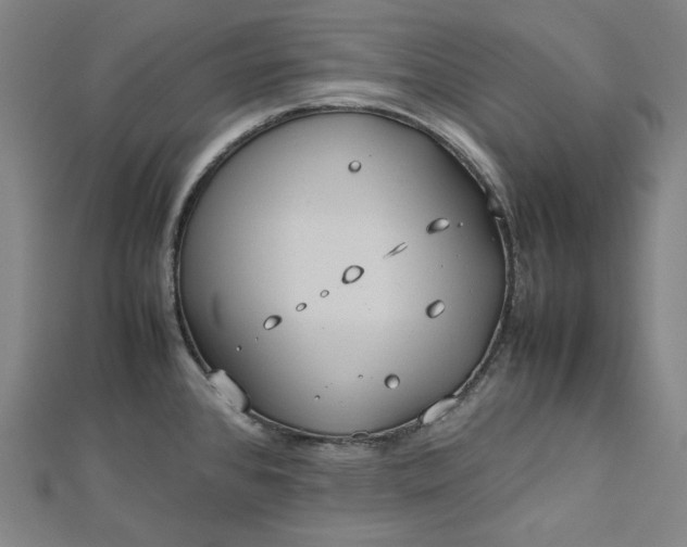 X0000112771384200909031602