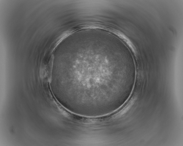 X0000112771385200909031602