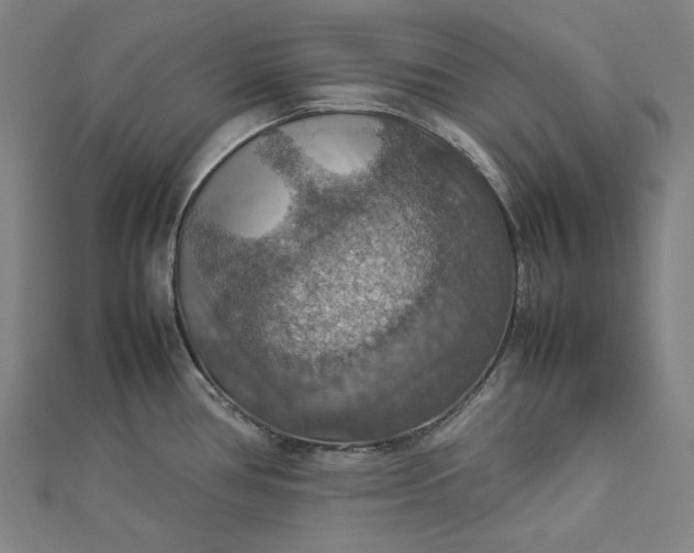 X0000112771386200909031602