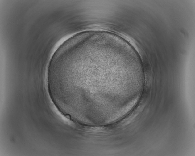 X0000112771387200909031602