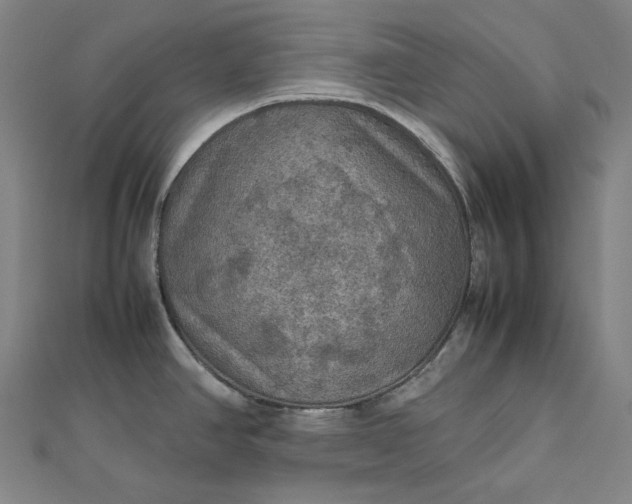 X0000112771390200909031602