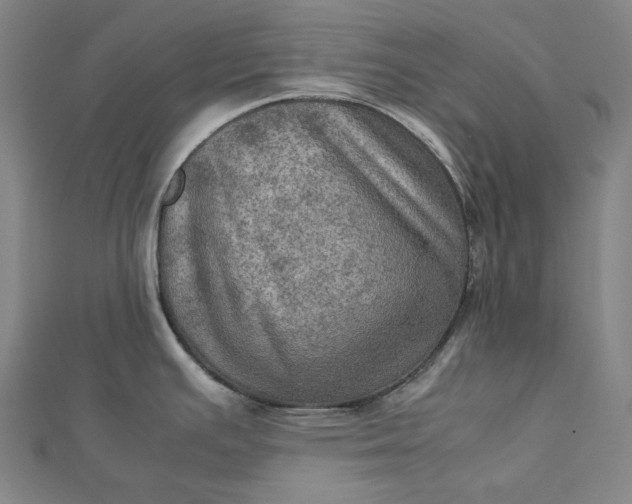 X0000112771391200909031602