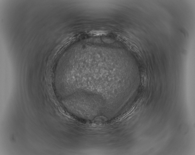 X0000112771393200909031601