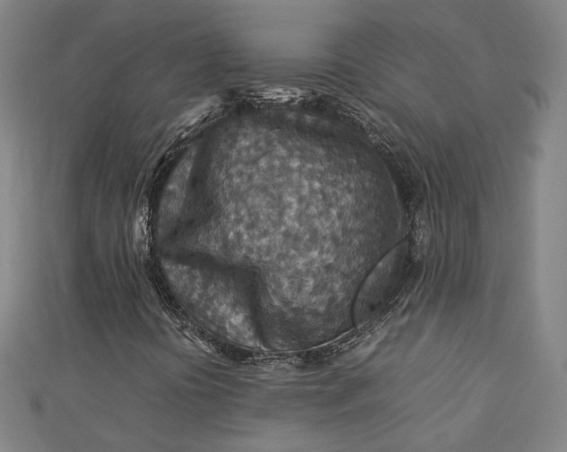 X0000112771394200909031601