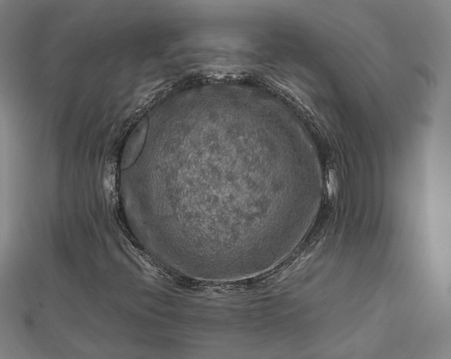 X0000112771396200909031601