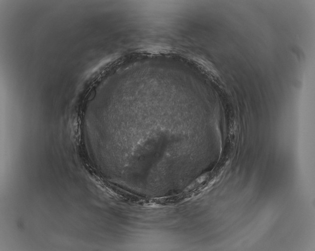 X0000112771398200909031601