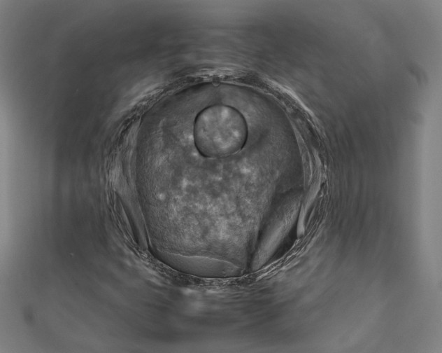 X0000112771399200909031601