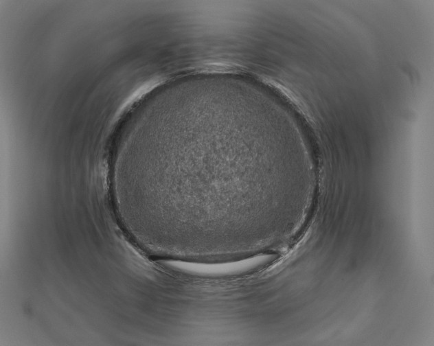 X0000112771402200909031601