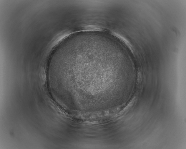 X0000112771407200909031601