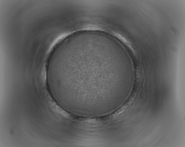 X0000112771408200909031602