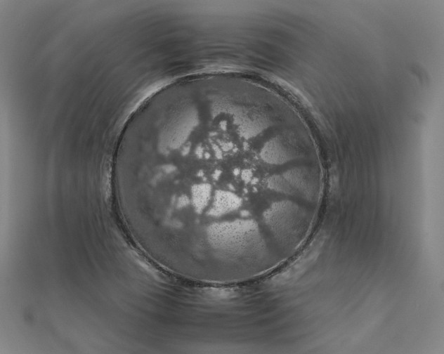 X0000112771409200909031602