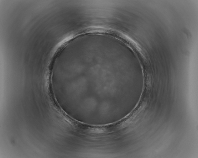 X0000112771411200909031602