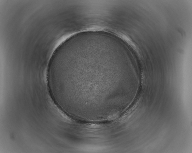 X0000112771412200909031602