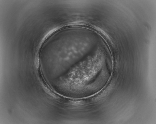 X0000112771413200909031602