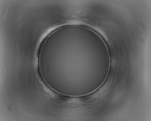 X0000112771414200909031602