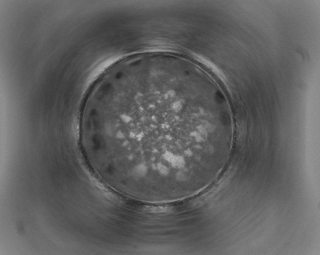 X0000112771415200909031602