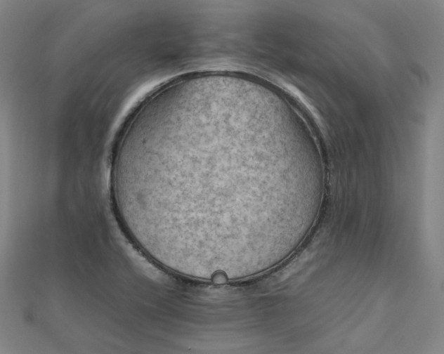 X0000112771416200909031602