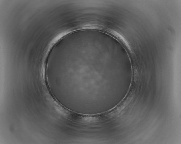 X0000112771419200909031602