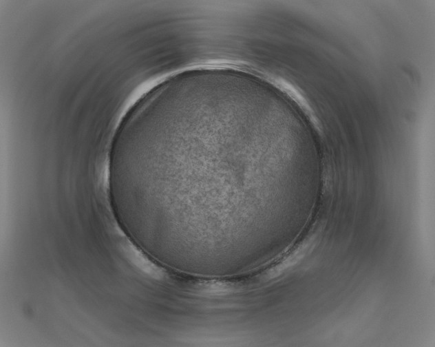 X0000112771420200909031602