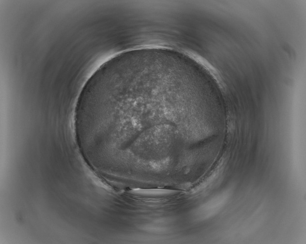 X0000112771423200909031602