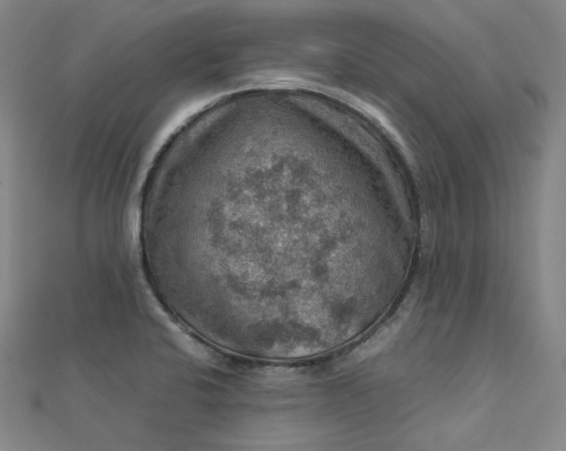 X0000112771424200909031602