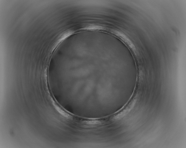 X0000112771425200909031602