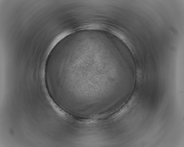 X0000112771426200909031602