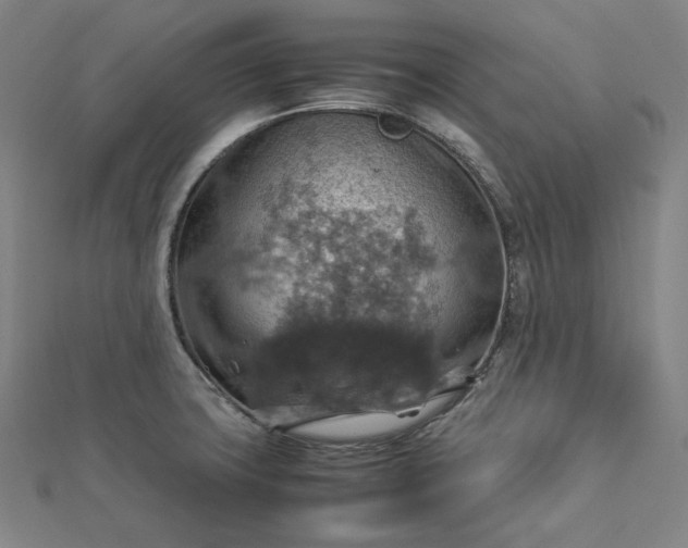 X0000112771427200909031602