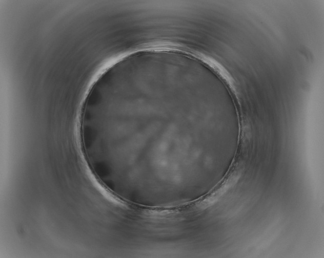 X0000112771429200909031602