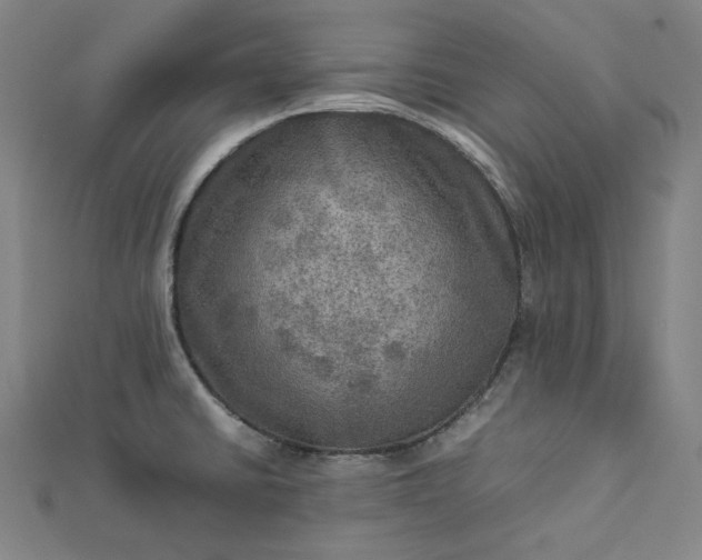 X0000112771430200909031602