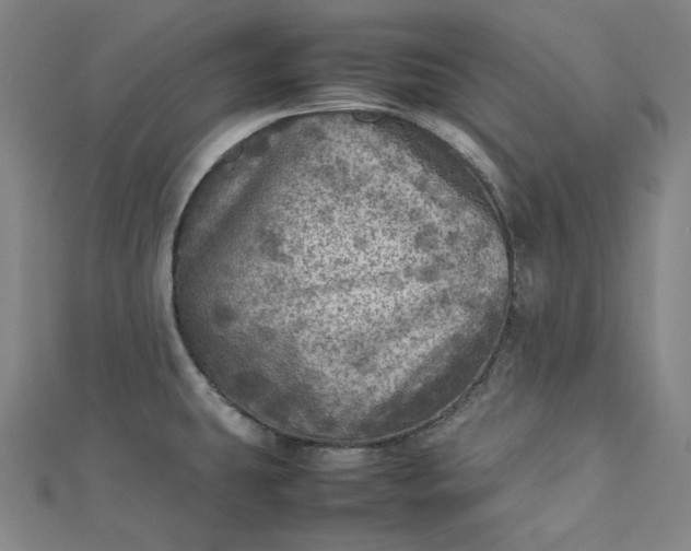 X0000112771431200909031602